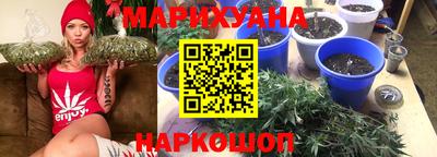 крисы Ипатово