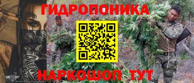 ГАЛЛЮЦИНОГЕННЫЕ ГРИБЫ Ирбит