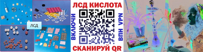 где найти наркотики  Славгород  ЛСД экстази ecstasy 