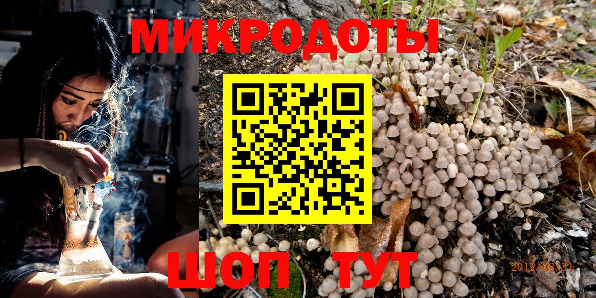 Славгород  Галлюциногенные грибы Psilocybe  Вход с VPN 