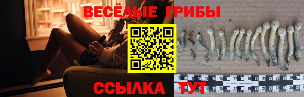Галлюциногенные грибы Cubensis Славгород
